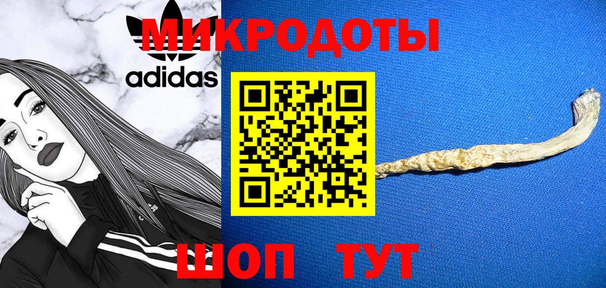Псилоцибиновые грибы прущие грибы Сыктывкар