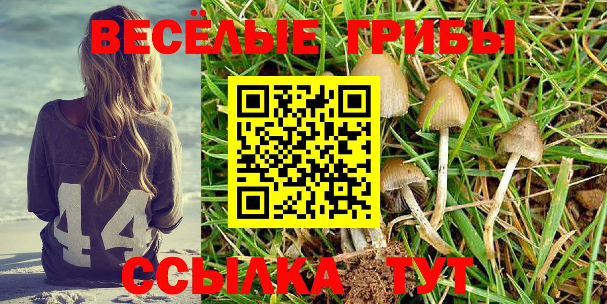 Псилоцибиновые грибы Psilocybine cubensis  Вход с VPN  магазин    Сыктывкар  Псилоцибиновые грибы ЛСД 